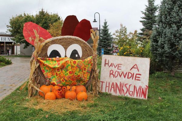 displays in town of Elmvale