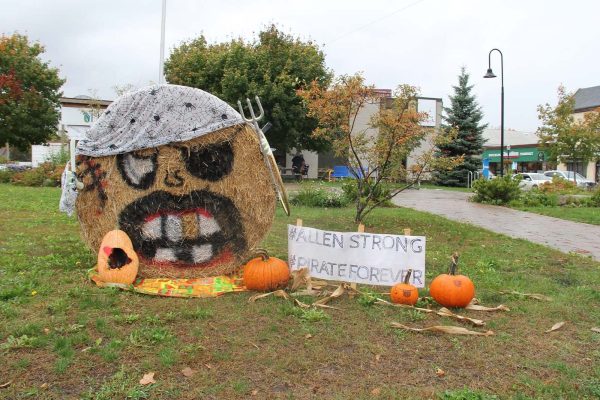 displays in town of Elmvale