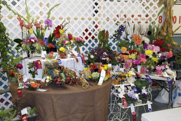 Floral exhibits at Elmvale Fall Fair