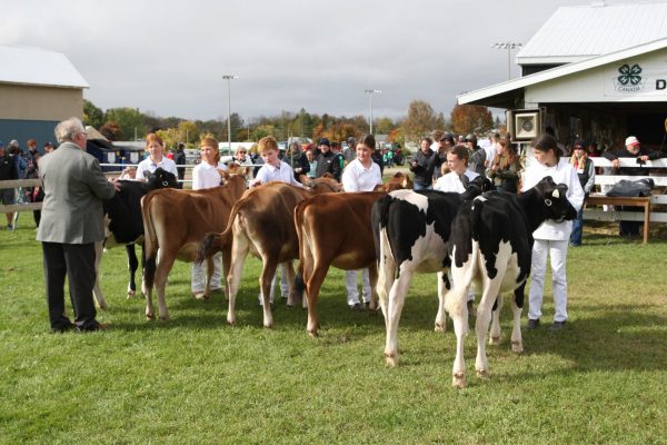 4H Achievement Day at Elmvale Fall Fair