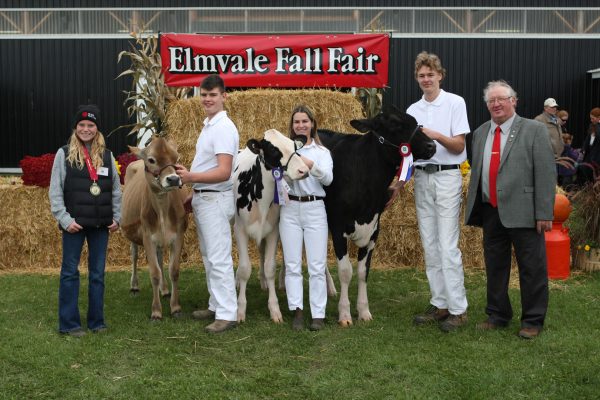 Jr Dairy Cattle show
