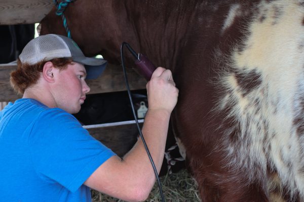 2023 Elmvale Fall Fair - Friday