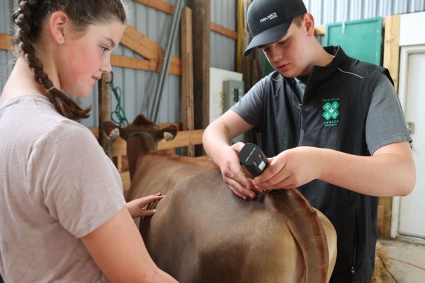 2023 Elmvale Fall Fair - Friday