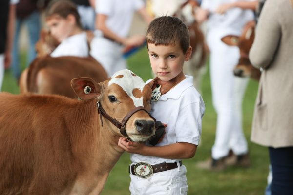 2023 Elmvale Fall Fair - Friday