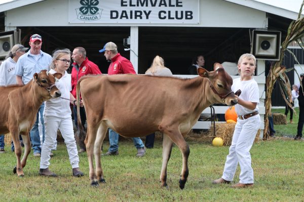 2023 Elmvale Fall Fair - Friday