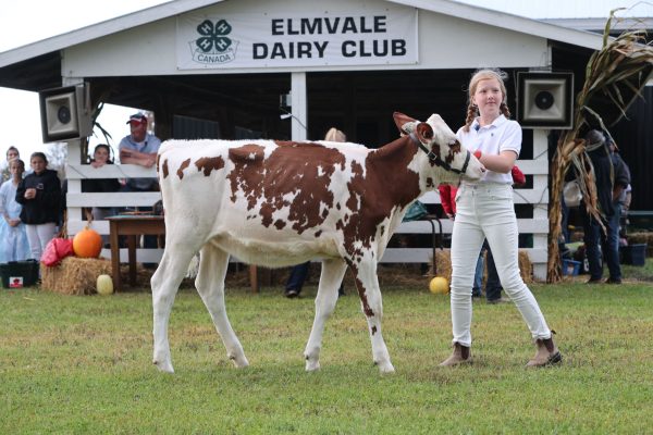 2023 Elmvale Fall Fair - Friday