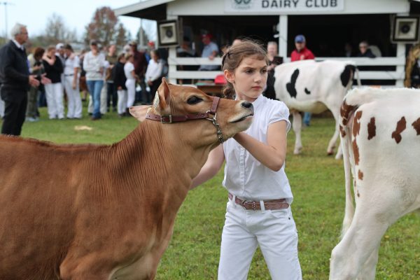 2023 Elmvale Fall Fair - Friday