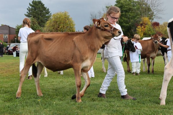 2023 Elmvale Fall Fair - Friday