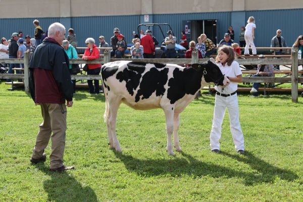 2023 Elmvale Fall Fair - Friday