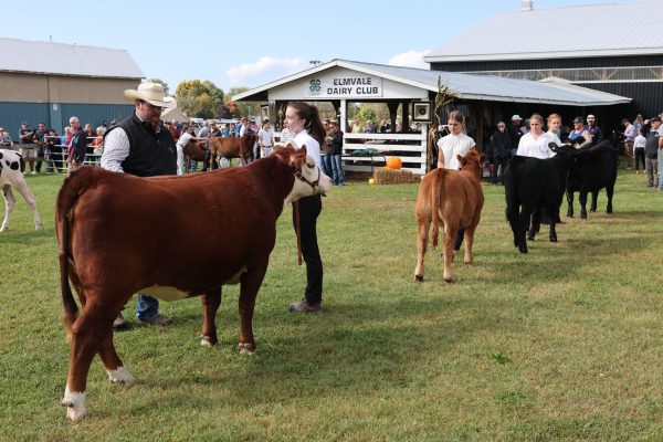 2023 Elmvale Fall Fair - Friday