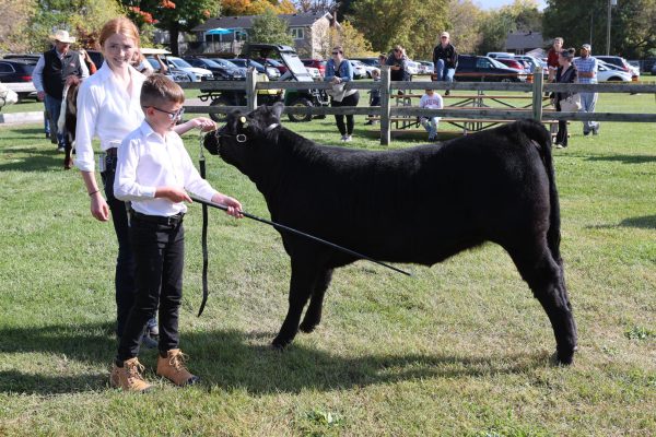 2023 Elmvale Fall Fair - Friday