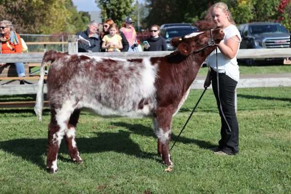 2023 Elmvale Fall Fair - Friday