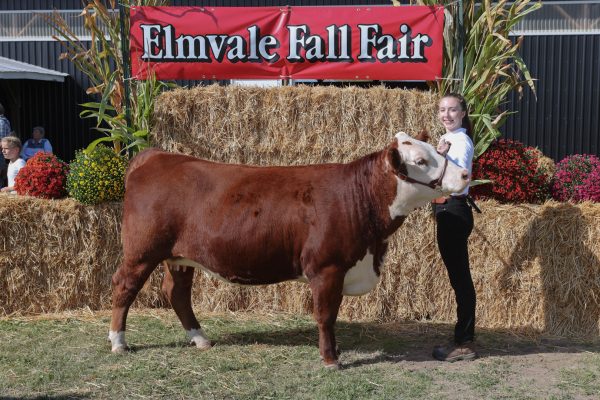 2023 Elmvale Fall Fair - Friday