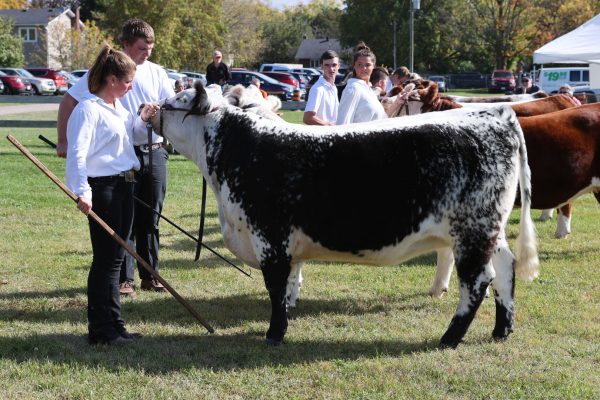 2023 Elmvale Fall Fair - Friday