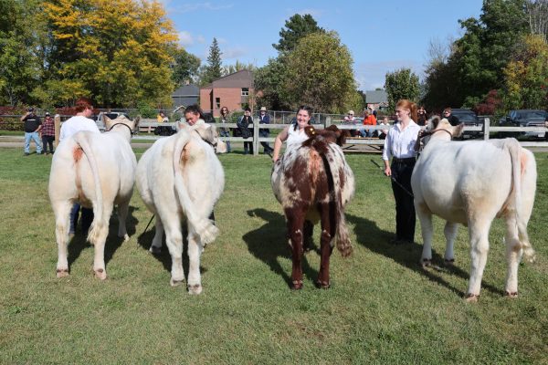 2023 Elmvale Fall Fair - Friday