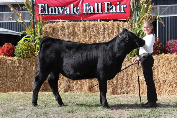 2023 Elmvale Fall Fair - Friday