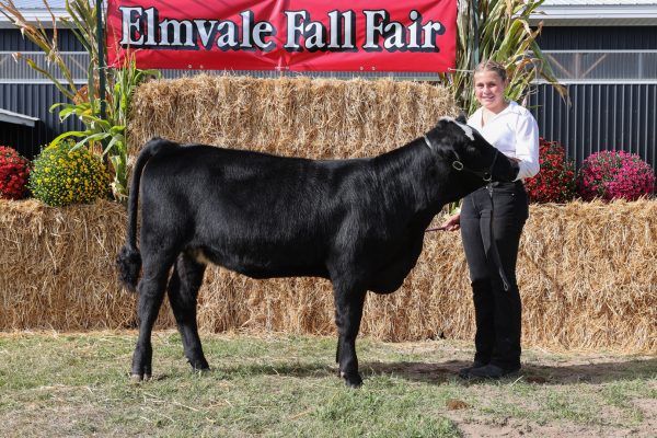 2023 Elmvale Fall Fair - Friday