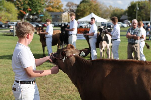 2023 Elmvale Fall Fair - Friday