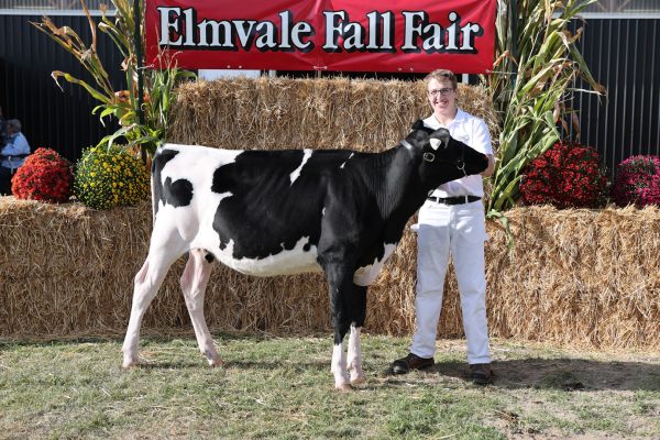 2023 Elmvale Fall Fair - Friday