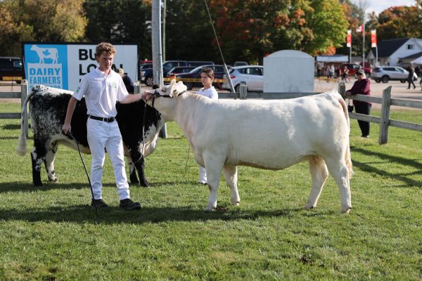 2023 Elmvale Fall Fair - Friday