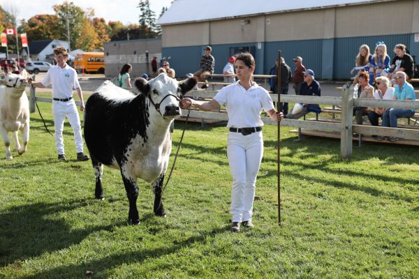 2023 Elmvale Fall Fair - Friday