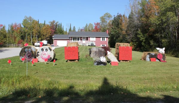 Rural Roadside Decorating Contest Elmvale 2023