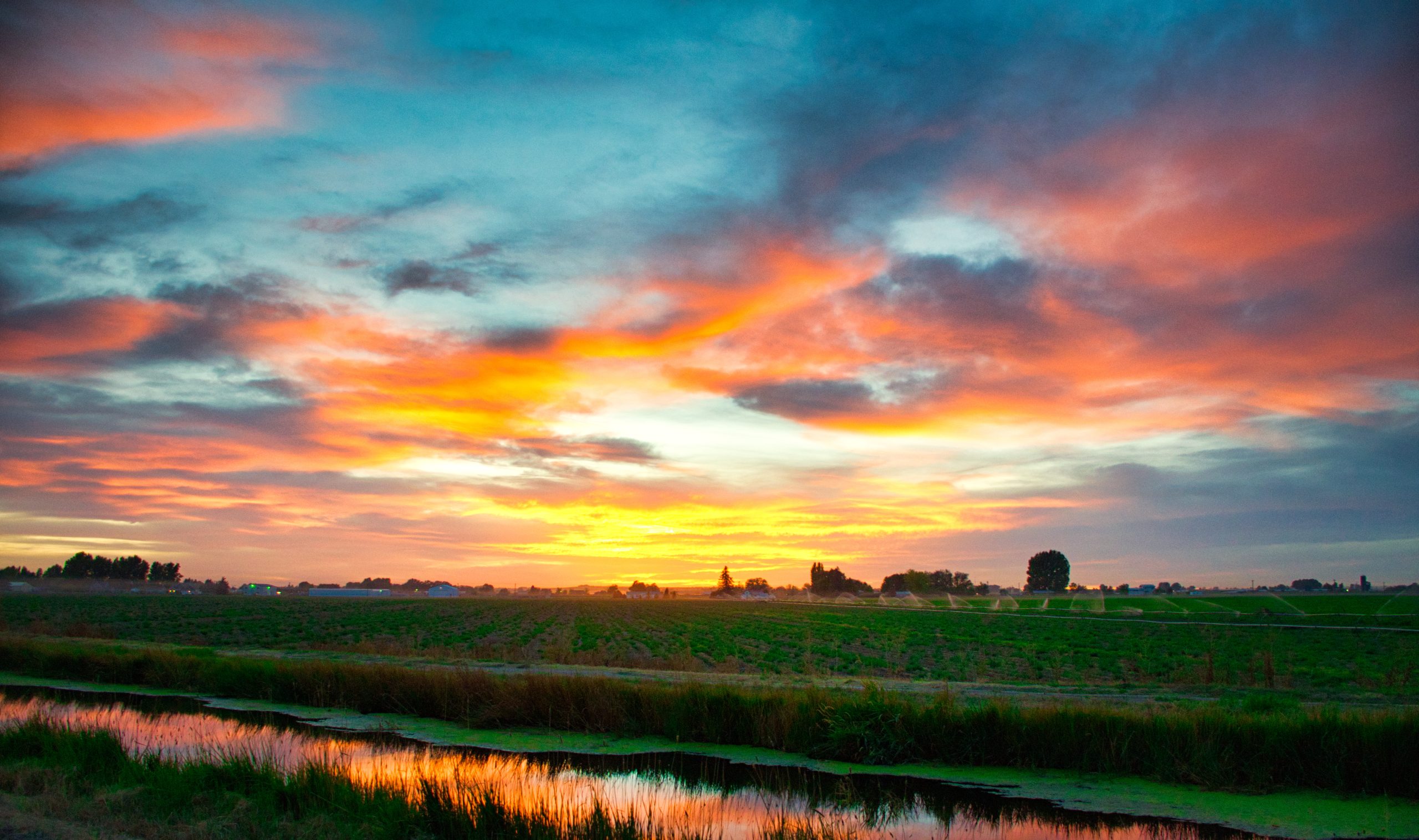 farming at sunset