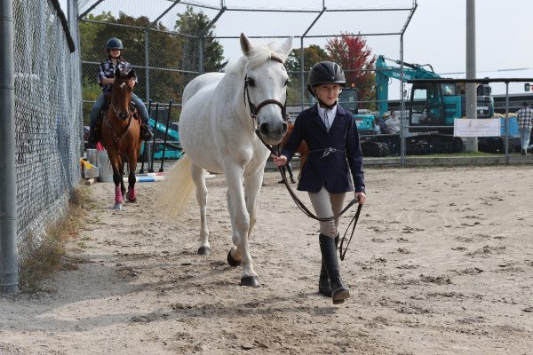 Pony Show at Elmvale Fall Fair