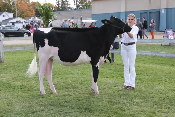 2025 Elmvale Fall Fair