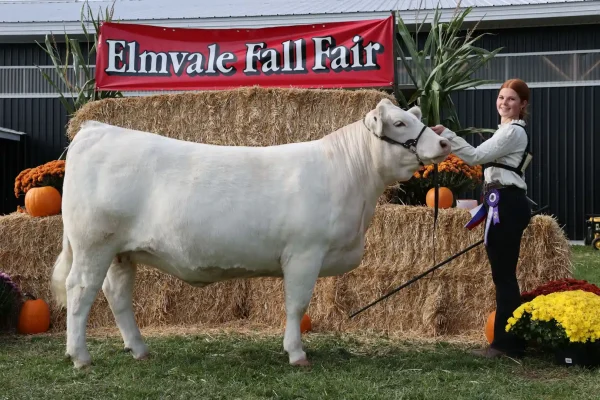2025 Elmvale Fall Fair