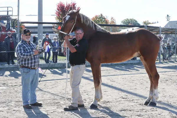 2025 Elmvale Fall Fair