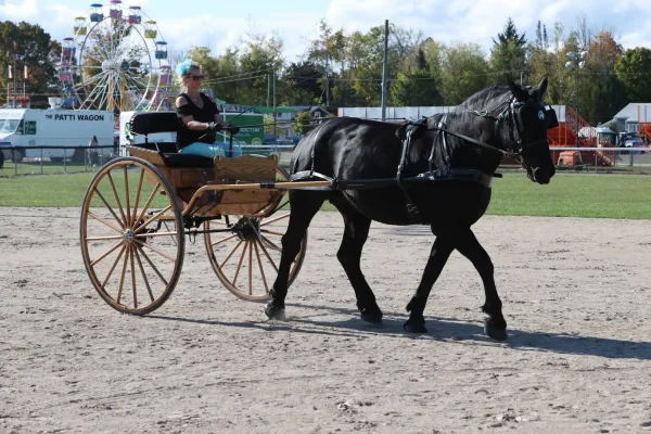 2025 Elmvale Fall Fair