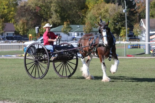 2025 Elmvale Fall Fair