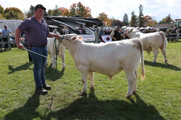 2025 Elmvale Fall Fair