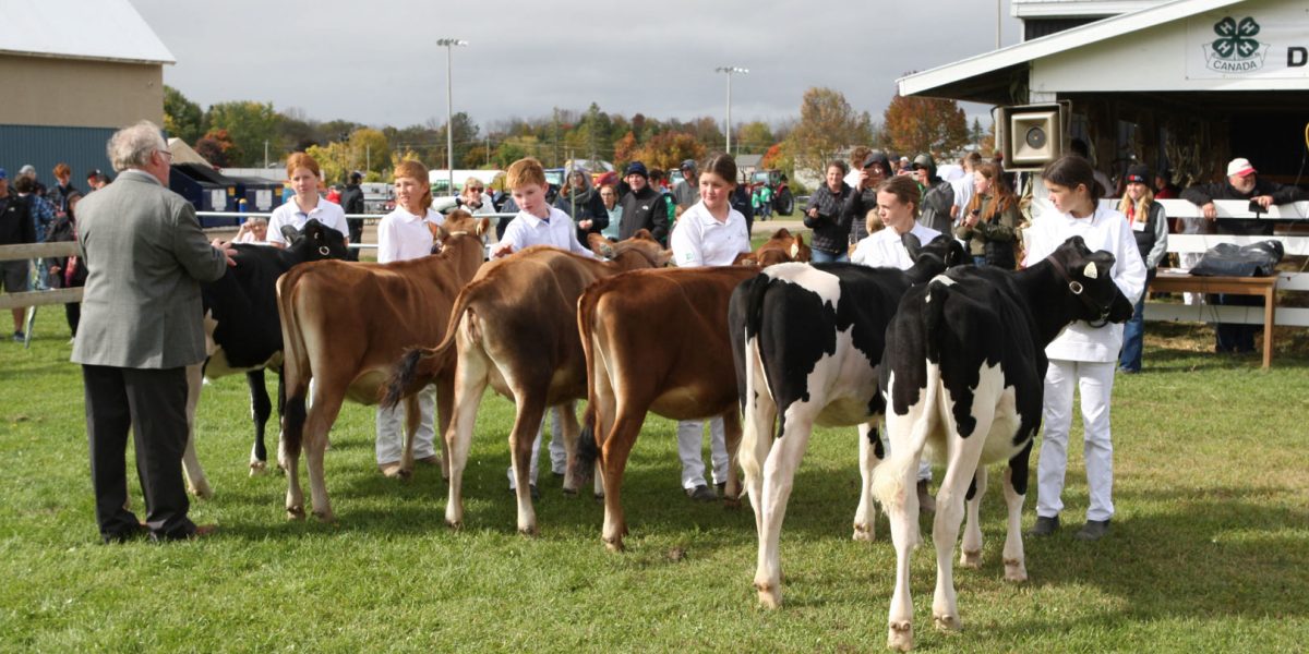 4H Achievement Day at Elmvale Fall Fair