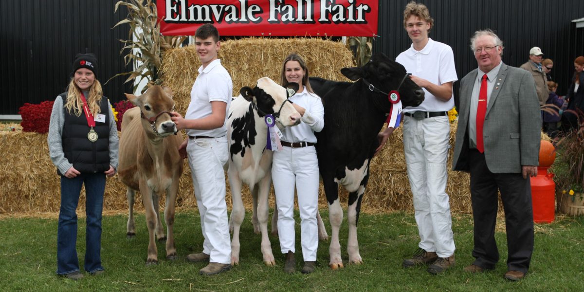 Jr Dairy Cattle show