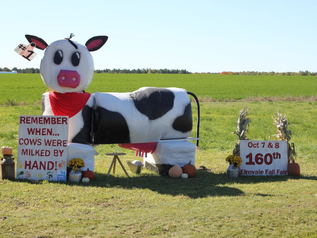 Decorating Contests For The 160th Elmvale Fall Fair