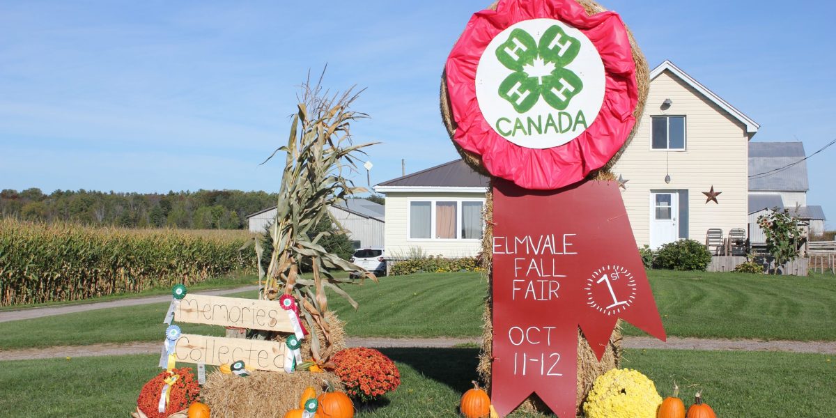 Roadside decorating contest
