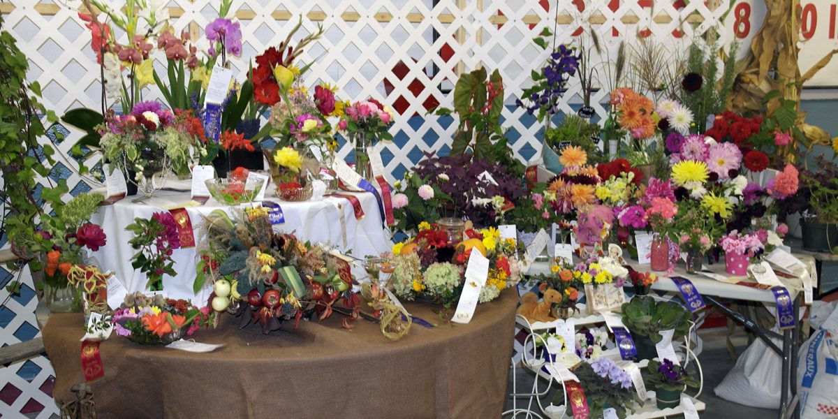 Floral exhibits at Elmvale Fall Fair