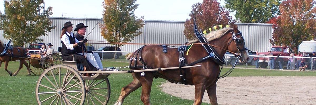 Heavy Horse Show at Elmvale Fall Fair