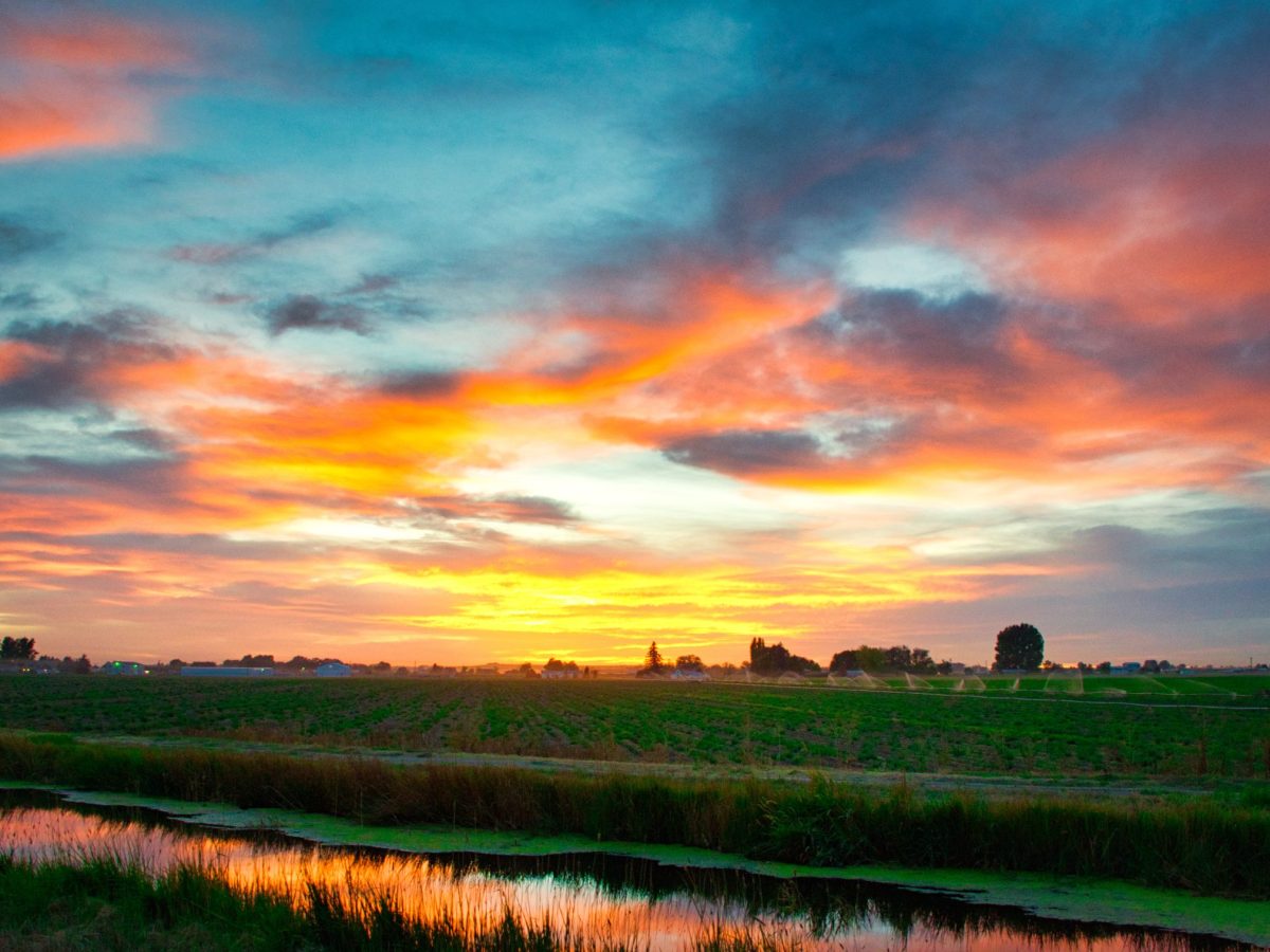 farming at sunset