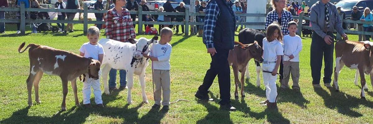 Competitions - Jr. Dairy Show at Elmvale Fall Fair